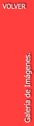 proditec014001.jpg